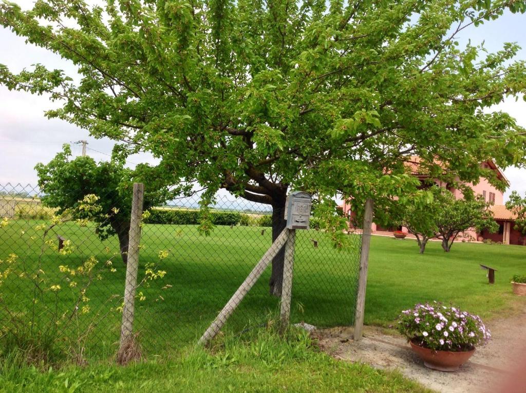 Agriturismo Podere Cirene Rispescia Exteriör bild
